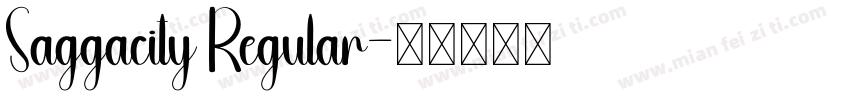Saggacity Regular字体转换